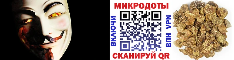 гидра ссылка  где купить наркоту  Городище  Псилоцибиновые грибы ЛСД 
