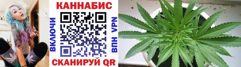 сколько стоит  Городище  KRAKEN ссылка  Бошки Шишки VHQ 